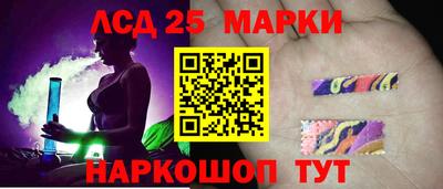 крисы Шахты