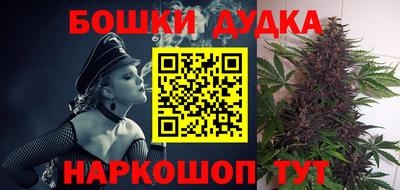 крисы Шахты
