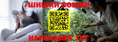 крисы Шахты