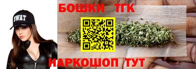 прущие крисы Шелехов
