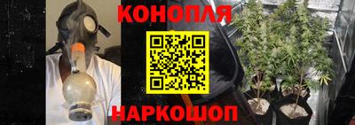 прущие крисы Шелехов