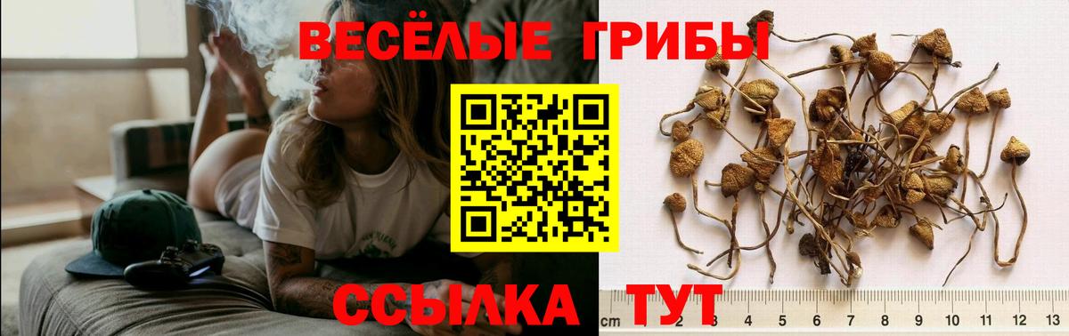 Галлюциногенные грибы ЛСД  Вход с VPN  Бахчисарай  Галлюциногенные грибы мухоморы 